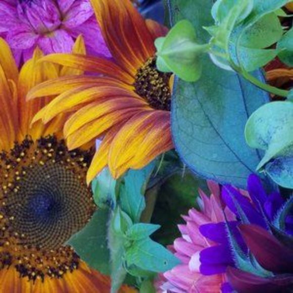 Silpada Starlight set - Picture 2 of 14